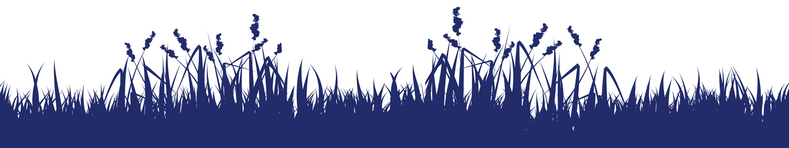Sustainability_IOI_Wiese_frei_schmal