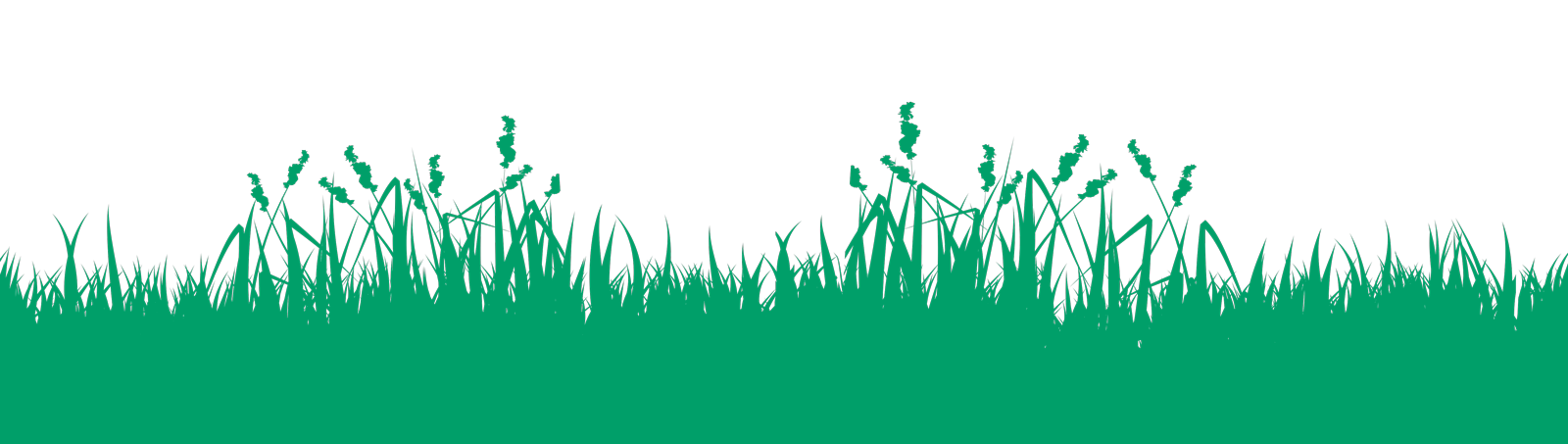 Sustainability_IOI_Wiese_gruen_frei