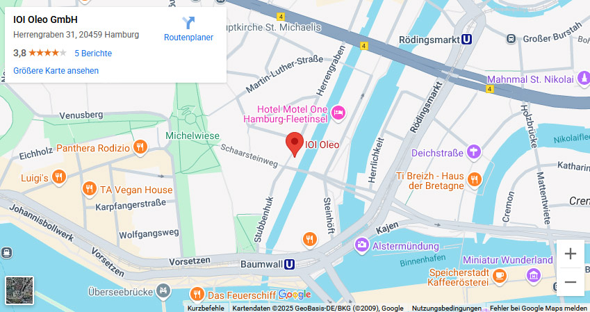IOIOLEO Google Map